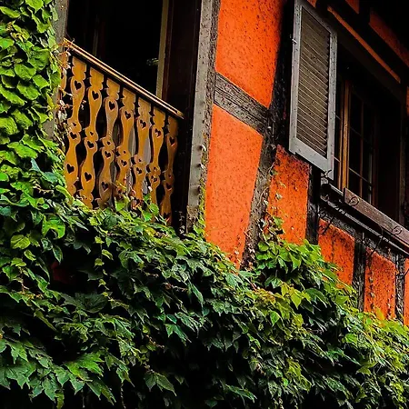 La Maison Rouge Au Coeur De La Ville.