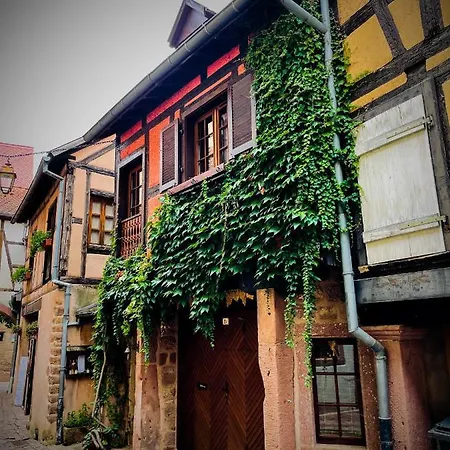 La Maison Rouge Au Coeur De La Ville. *